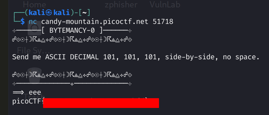 Bytemancy 0 flag