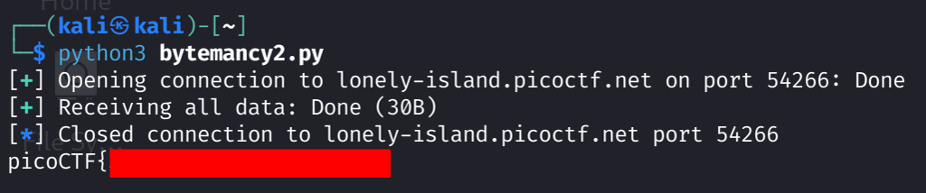 Bytemancy 2 flag
